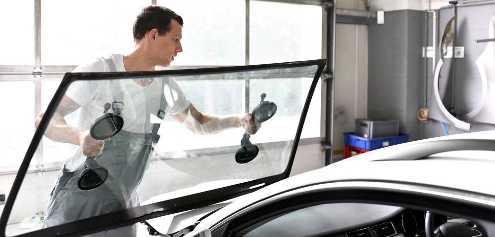Professionnels et particuliers à Locminé